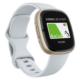 Google Fitbit Sense 2 Blue Mist/Pale Gold FB521GLBM-FRCJK 1個