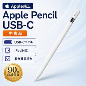 中古 Apple Pencil USB-C Apple純正 タッチペン 90日保証 送料無料