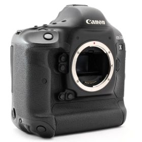Canon EOS-1D X ボディ デジタル一眼レフ キヤノン 動作確認済 #M08373