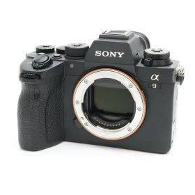 【中古品】 《並品》 SONY α9II ボディ ILCE-9M2 【ビューファインダーユニット・ホットシュー・SDスロット部モルト・光学フィルター部品交換/各部点検済】 [ デジタルカメラ ]