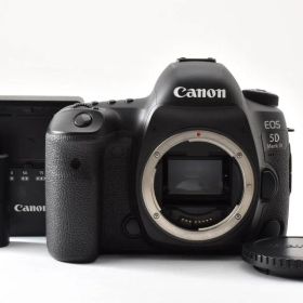 ★極上品★《ショット数10655回》キヤノン Canon EOS 5D Mark IV ボディ★ YME2062＃11