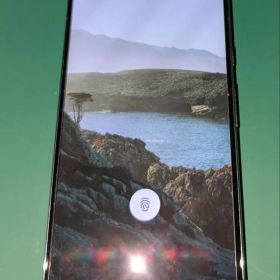 Google Pixel 8 Pro 本体[中古品]ジャンク