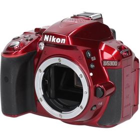 Ｄ５３００