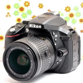 ニコン Nikon D5300 ☆初心者歓迎☆軽量バリアングル☆即日発送