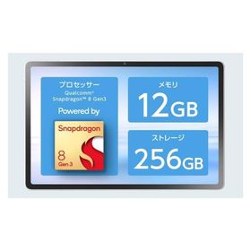 NECプラットフォームズ LAVIE Tab EX TX117/LAS シーシェル H7mm×W256mm×D166mm PC-TX117LAS 1点