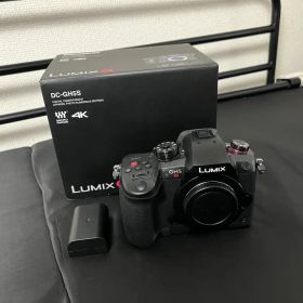 Panasonic LUMIX DC-GH5S ボディ ミラーレス一眼 動画撮影