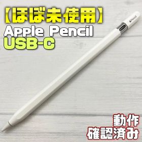 動作確認済み【ほぼ未使用】Apple Pencil USB-C 429