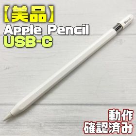 動作確認済み【ほぼ未使用】Apple Pencil USB-C 428