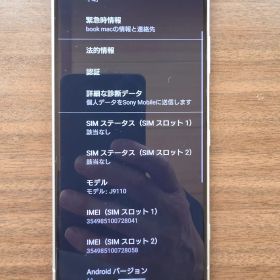 Sony Xperia 1 海外版