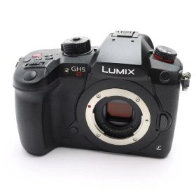 【中古品】《良品》Panasonic LUMIX DC-GH5S ボディ【吊り金具調整/各部点検済】[デジタルカメラ]