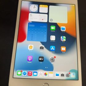 iPad mini 第4世代 32GB Cellular シルバー 中古 傷汚れあり ++923394