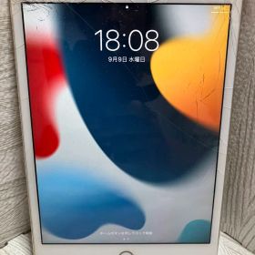 iPad mini4 WiFi+Cellularモデル 128GB simフリー
