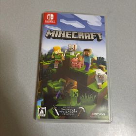 Minecraft マリオ＋ラビッツ キングダムバトル 2本セット