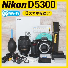 初心者向け✨Nikon D5300⭐️ 手ぶれ補正レンズ Wi-Fi 人気