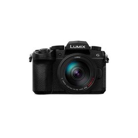 【長期5年保証付】パナソニック Panasonic LUMIX DC-G99M2H 高倍率ズームレンズキット マイクロフォーサーズ デジタル一眼カメラ DCG99M2H