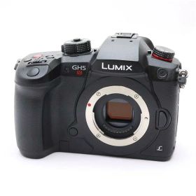 【中古品】《美品》Panasonic LUMIX DC-GH5S ボディ[デジタルカメラ]