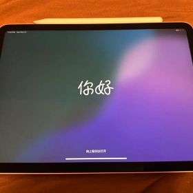 【ジャンク品】iPad Air4 256GB Apple Pencil付き