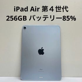 iPad Air 第4世代 256GB Wi-Fi + Cellular