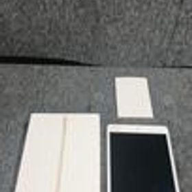 IPAD MINI 4 MK9J2J/A APPLE