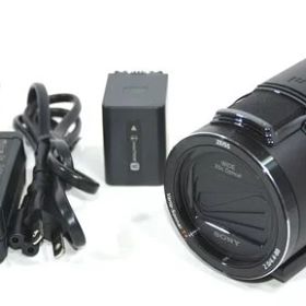 SONY ソニー Handycam FDR-AX45A デジタル 4K ビデオカメラ ハンディカム 2023年製