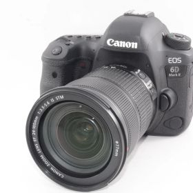 Canon EOS 6D Mark II EF24-105 IS STM