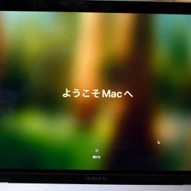 Apple MacBook Air 13-inch A2175