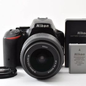 ★極上品★ 《シャッター数 18.559回》Nikon ニコン D5500 18-55 VRレンズセット デジタル一眼レフ #K308-5