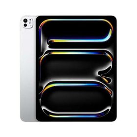 iPad Pro 13インチ M4[256GB] セルラー au シルバー【安心保証】