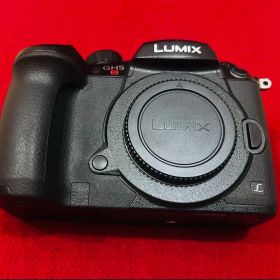 【美品】Panasonic LUMIX DC-GH5S ボディ、箱・純正付属品