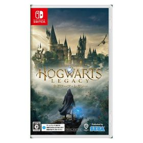 【アウトレット】WB Games ホグワーツ・レガシー HAC-P-AR3XA 1本