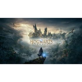 SEGA セガ 【在庫限り特価】ホグワーツ・レガシー Hogwarts Legacy【Switch】