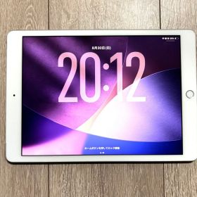 Apple iPad 第8世代 本体 シルバー
