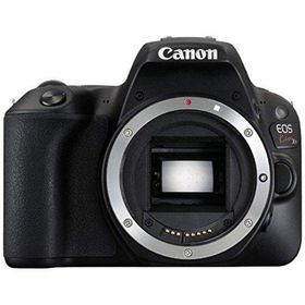 Canon EOS Kiss X9 ボディ 良品 動作確認済み 1ヶ月保証付 初心者向け