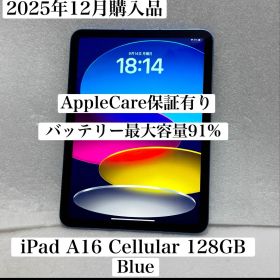 AppleCare iPad A16 第11世代 Cellular 128GB