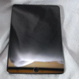 Apple iPad mini第五世代 256GB WiFi+Cellular