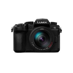 【長期5年保証付】パナソニック Panasonic LUMIX DC-G99M2H 高倍率ズームレンズキット マイクロフォーサーズ デジタル一眼カメラ DCG99M2H