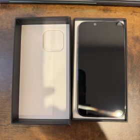 【純正100%】iPhone 13 Pro 256GB シエラブルー