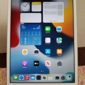 S36 美品 ipad mini 4 ★A8★16GB バッテリー87%