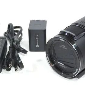 SONY ソニー Handycam FDR-AX45A デジタル 4K ビデオカメラ ハンディカム 2023年製