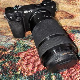 【ショット数少】SONY α6400 ダブルズームレンズキット 動作確認済