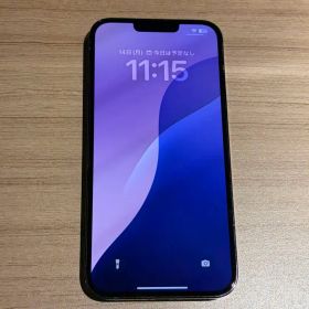 iPhone 13 Pro Max 256GB グラファイト本体