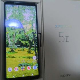 Xperia 5II XQ-AS42 SIMフリー 本体 セット 256GB