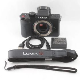 Panasonic LUMIX G100 DC-G100 ボディ ミラーレス一眼 マイクロフォーサーズ 動作確認済 パナソニック #S00285