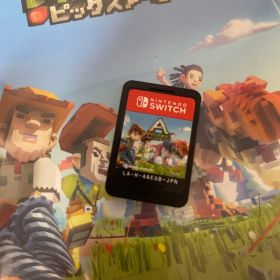 Nintendo Switch ピックスアーク PIXARK ソフト