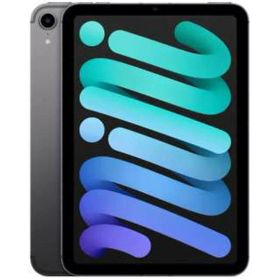 【中古】【安心保証】 iPad mini 8.3インチ 第6世代[256GB] セルラー SIMフリー スペースグレイ