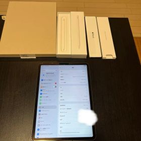 iPad Pro 11インチ 第3世代 セルラー applepen付き