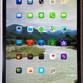 iPad Pro 11inch 第4世代 Wi-Fi Cellular 256G