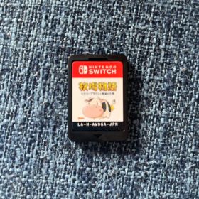 Nintendo Switch 牧場物語 オリーブタウンと希望の大地 ケースなし