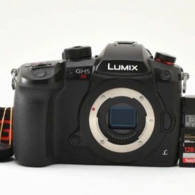 Panasonic LUMIX GH5S ボディ DC-GH5S 美品