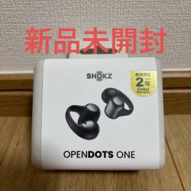 Shokz ショックス 完全ワイヤレスイヤホン SKZ-EP-000054 新品